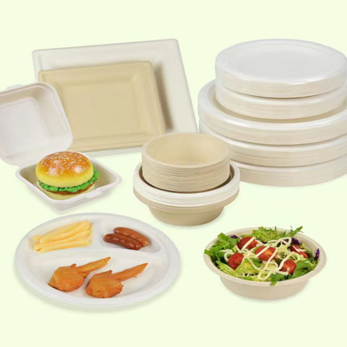 Disposable Biodegradable Sugarcane Bagasse Paper Tableware Forming Machine