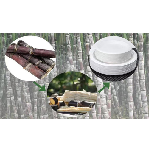 Disposable Biodegradable Sugarcane Bagasse Paper Tableware Forming Machine